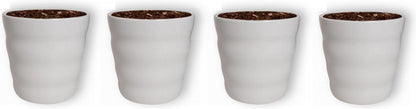  WL Plants - Bloempot Binnen - Set Van 4 - Dawn Ø12 Wit - Luxe Bloempotten Voor Binnen - Bloempotten Voor Buiten - Bloembak &amp; Plantenpot - Hoogte 12,5 Cm - Keramisch Met Hoogwaardige Afwerking