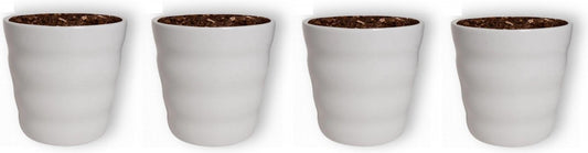  WL Plants - Bloempot Binnen - Set Van 4 - Dawn Ø12 Wit - Luxe Bloempotten Voor Binnen - Bloempotten Voor Buiten - Bloembak &amp; Plantenpot - Hoogte 12,5 Cm - Keramisch Met Hoogwaardige Afwerking