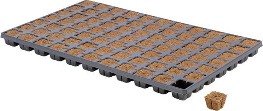  EAZY PLUG Zaaitray En Stektray Met 77 Pluggen 3,5 X 3,5 X 3 Cm.