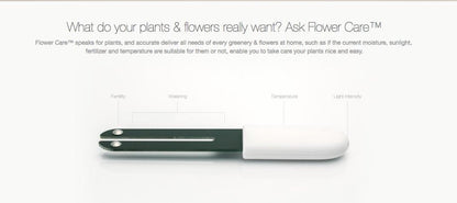  Xiaomi HHCC - Flower Care Smart Plant Sensor | Houdt De Welzijn Van De Planten Goed In De Gaten!!