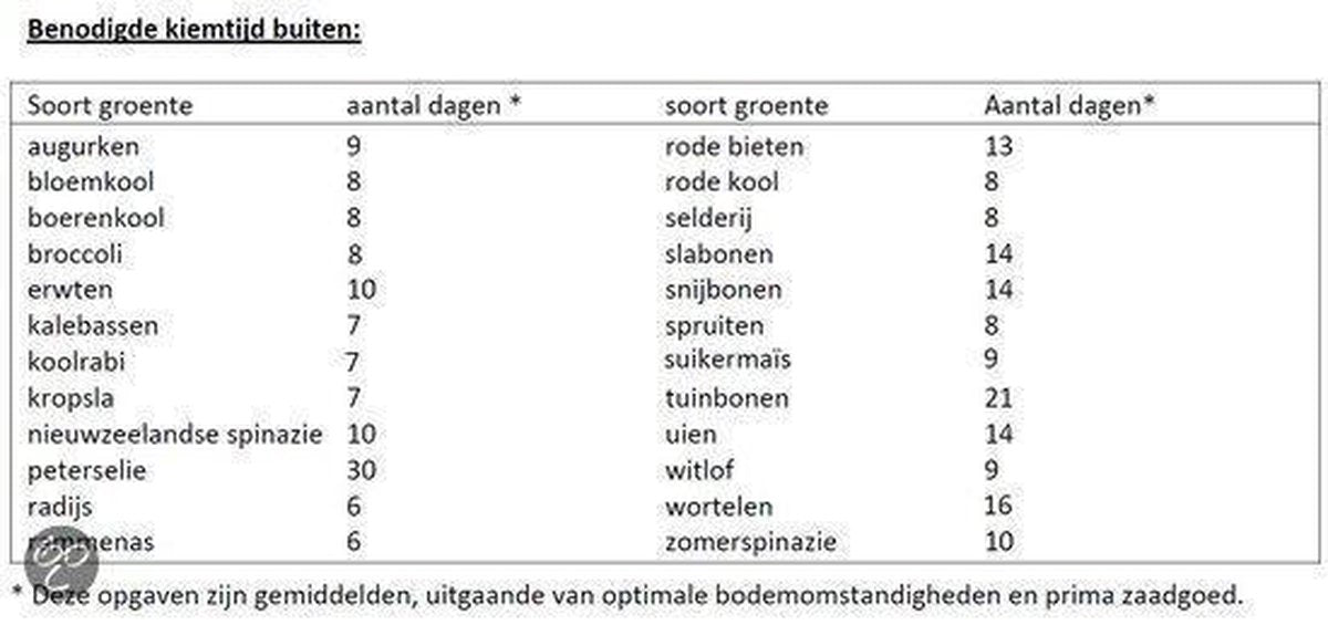  Hortitops Zaden - Bloemkool Alpha 7