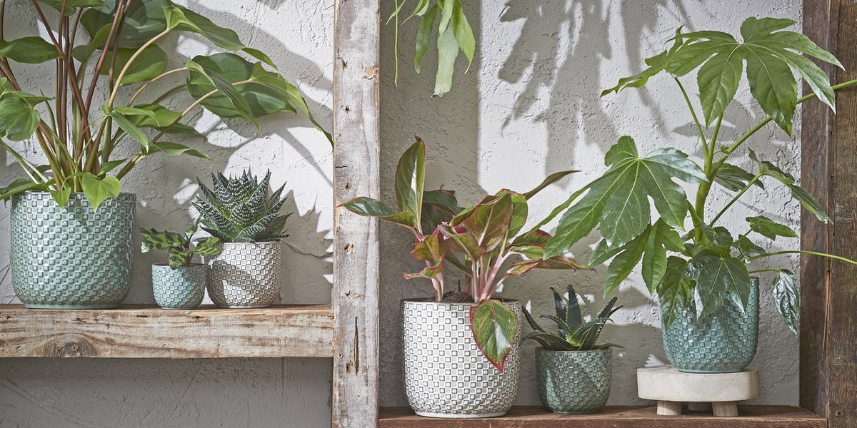  Mica Decorations Daan Bloempot - H17,5 X Ø19 Cm - Groen