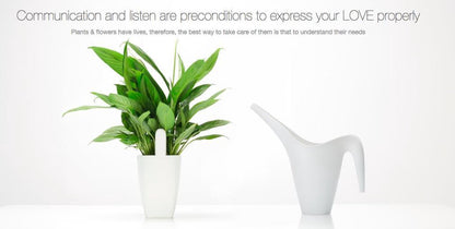  Xiaomi HHCC - Flower Care Smart Plant Sensor | Houdt De Welzijn Van De Planten Goed In De Gaten!!