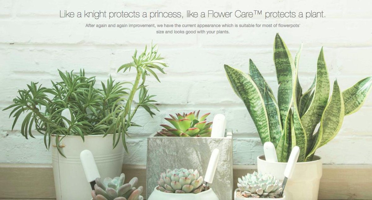  Xiaomi HHCC - Flower Care Smart Plant Sensor | Houdt De Welzijn Van De Planten Goed In De Gaten!!