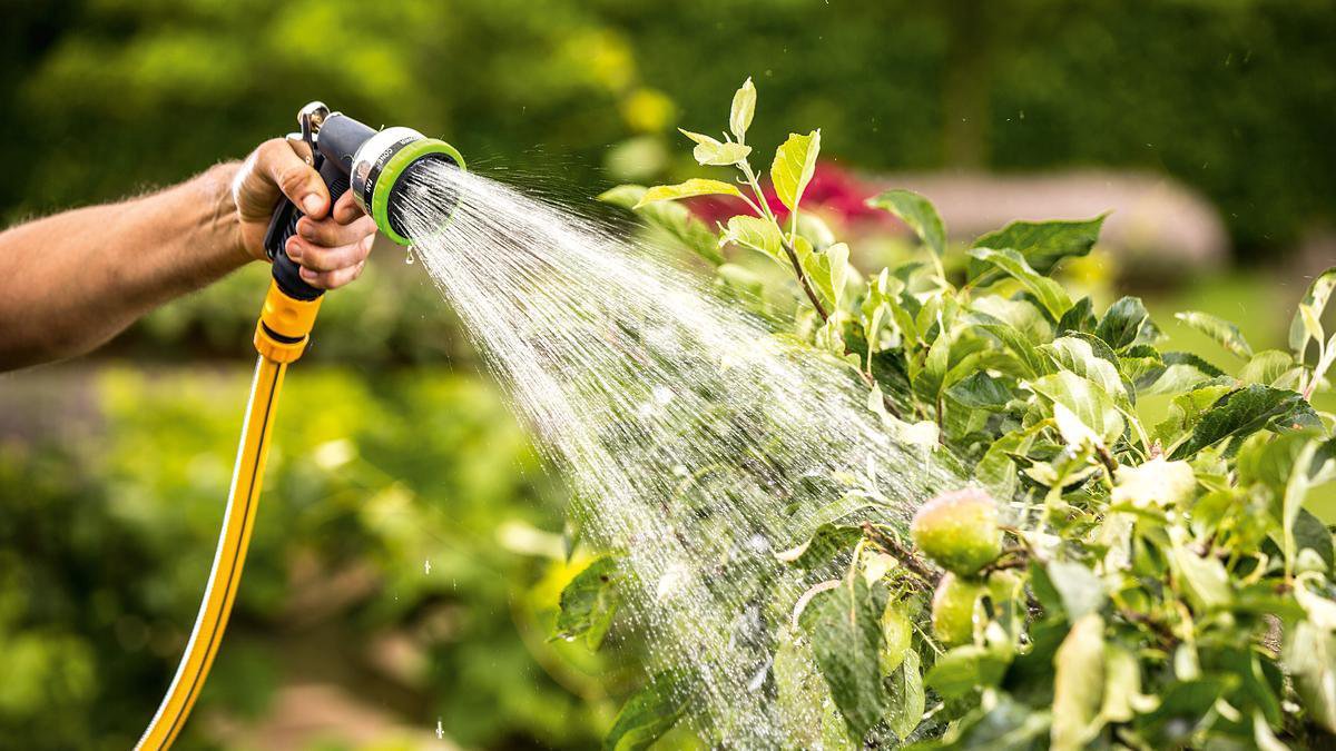  Bosch GardenPump 18 Accu Regentonpomp - Met 1 X 18 V Accu En Lader