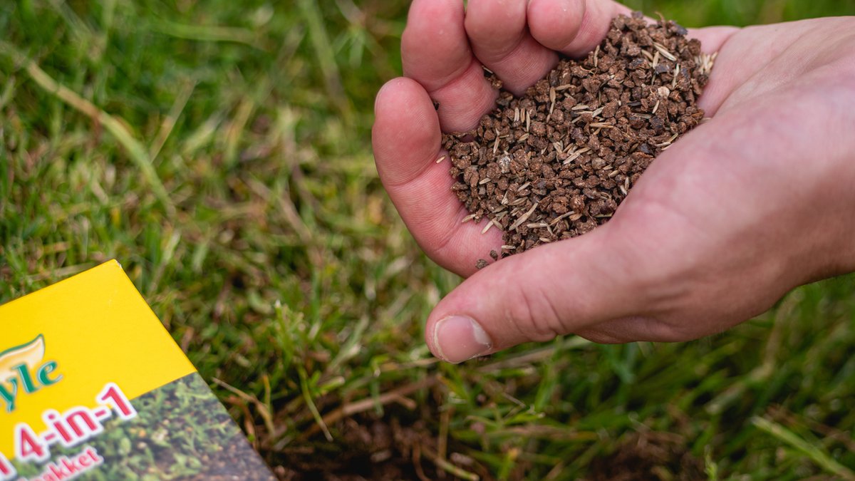  ECOstyle Gazon 4-in-1 Totaalpakket Met Kalk, Mest, Graszaad &amp; Grond In Een Doos - Geeft Kale Plekken In Gras Egaal Herstel - 5- 10 Kale Plekken - 1 KG