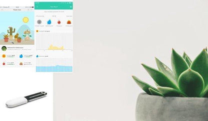  Xiaomi HHCC - Flower Care Smart Plant Sensor | Houdt De Welzijn Van De Planten Goed In De Gaten!!