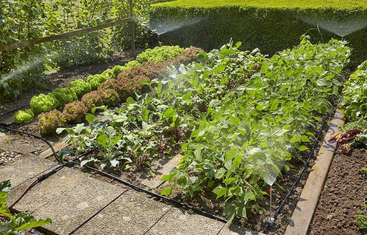  GARDENA Micro Drip System Bloembed En Moestuin Startset Druppelsysteem - 25 Meter
