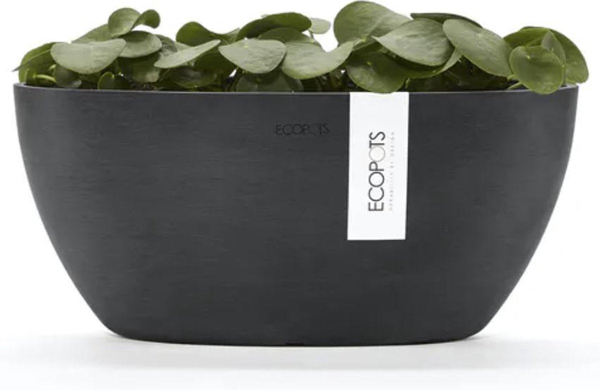  Ecopots | Sofia | Dark Grey | Binnenbloempot | 30 Cm | Ovaal