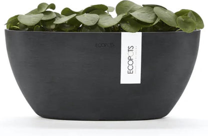  Ecopots | Sofia | Dark Grey | Binnenbloempot | 30 Cm | Ovaal