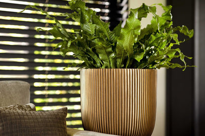  Capi Europe - Bloempot Bol Groove - 23x21 - Goud - Bloempot Voor Binnen - BGVGB134