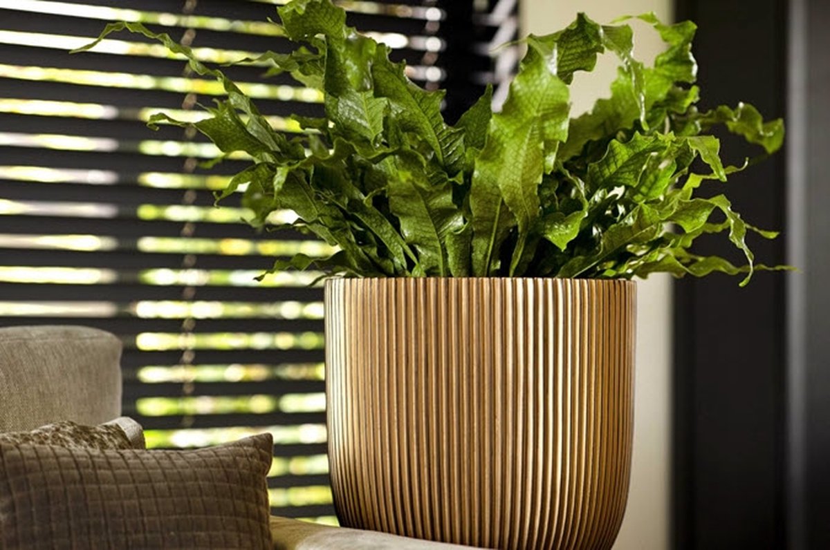  Capi Europe - Bloempot Bol Groove XL - 33x35 - Goud - Bloempot Voor Binnen - Opening ⌀28 - GVGB932