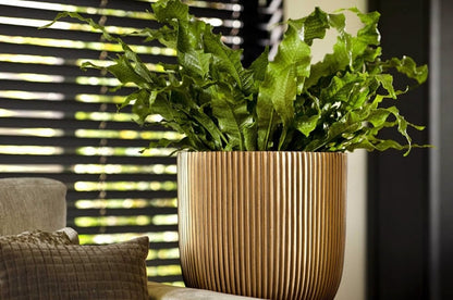  Capi Europe - Bloempot Bol Groove XL - 33x35 - Goud - Bloempot Voor Binnen - Opening ⌀28 - GVGB932