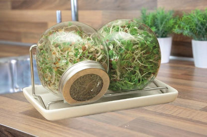  Buzzy Kiem Pot Duo Met Schaal (Bio)