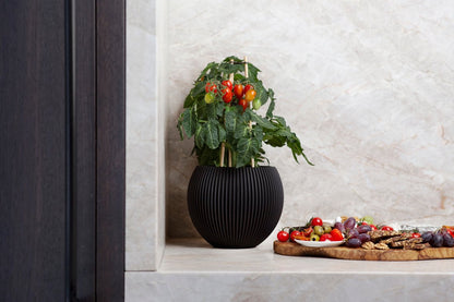  Capi Europe - Vaas Bol Groove - 29x26 - Zwart - Bloempot Voor Binnen - BGVBL104