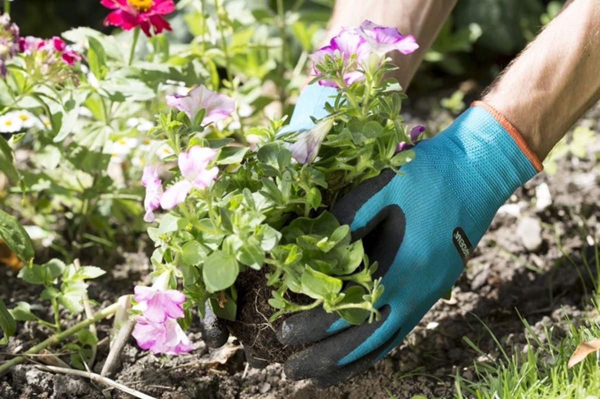  Gardena Plant- En Bodem Handschoen - Maat: M