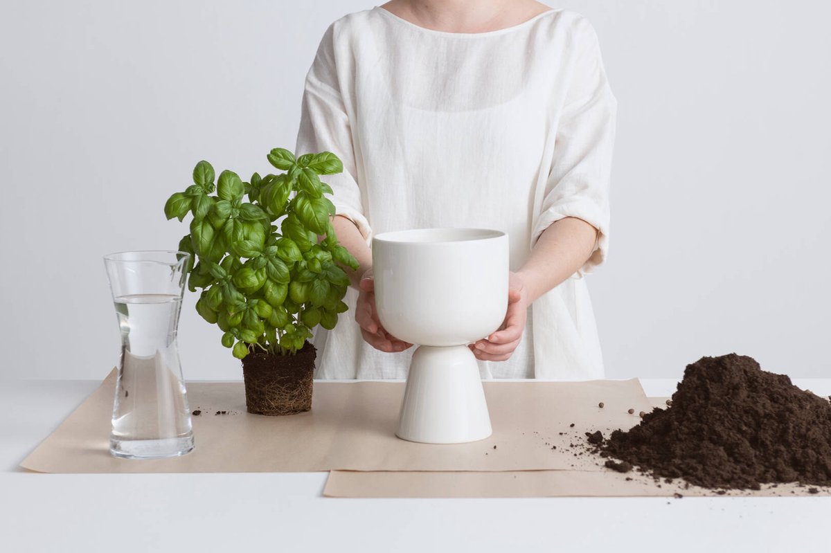  Iittala Nappula - Bloempot - Bloempotten Voor Binnen En Buiten - Plantenpotten - Wit - 230 X 155 Mm - 1 Stuk