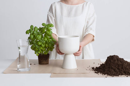  Iittala Nappula - Bloempot - Bloempotten Voor Binnen En Buiten - Plantenpotten - Wit - 230 X 155 Mm - 1 Stuk