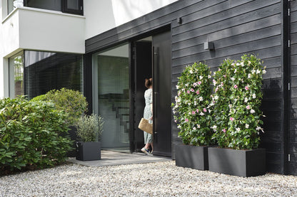  Elho Vivo Next Lang 60 - Bloempot Voor Binnen &amp; Buiten - Ø 59.0 X H 29.2 Cm - Zwart/Living Black