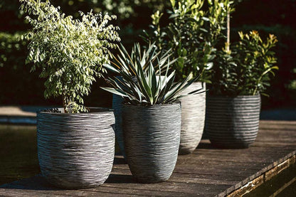  Capi Europe - Bloempot Bol Rib NL - 35x34 - Antraciet - Voor Binnen En Buiten - KOFZ932