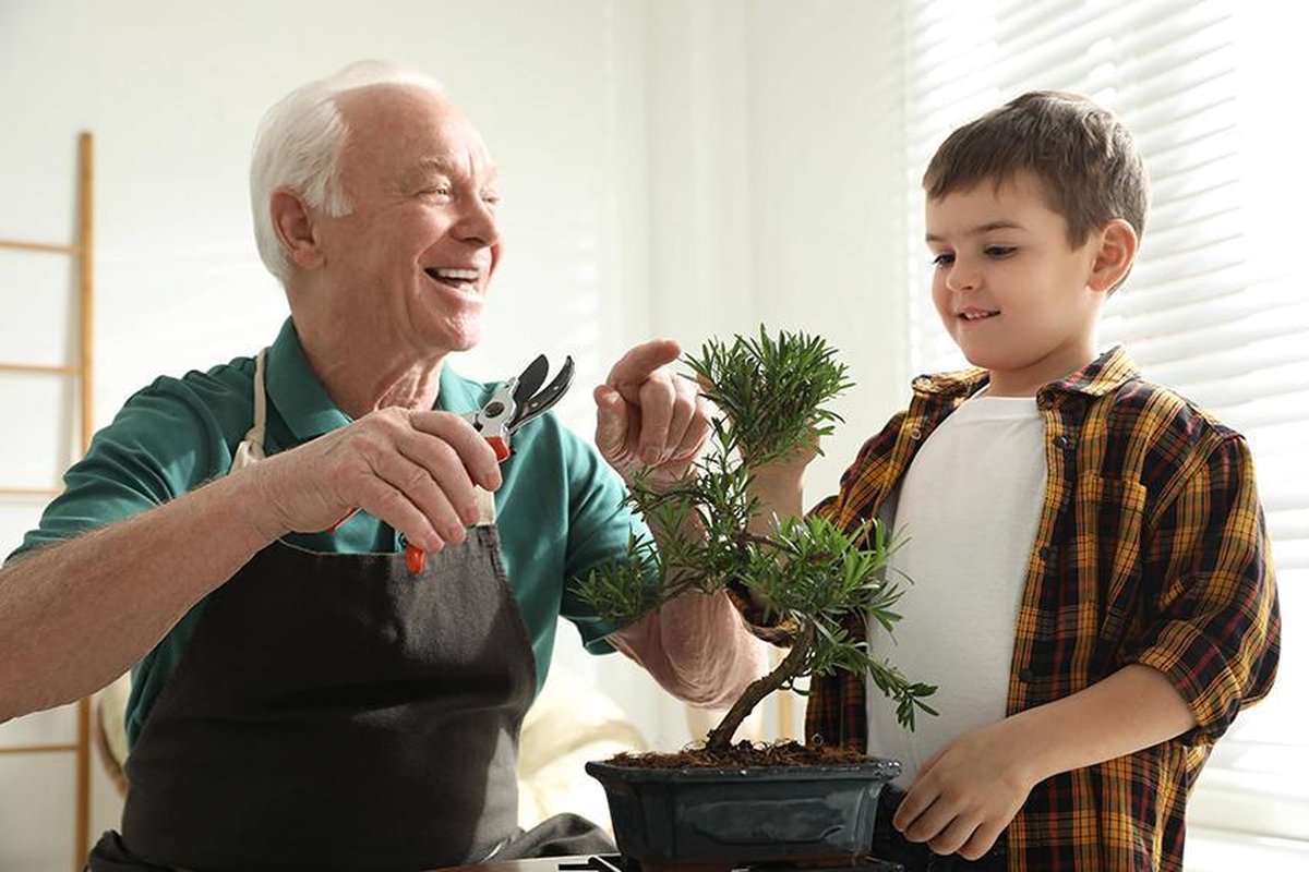  Bonsai Zaden 6 Soorten Incl. E-Book - Kweekset - Boompje In Pot - Kamerplanten – Kerstcadeau