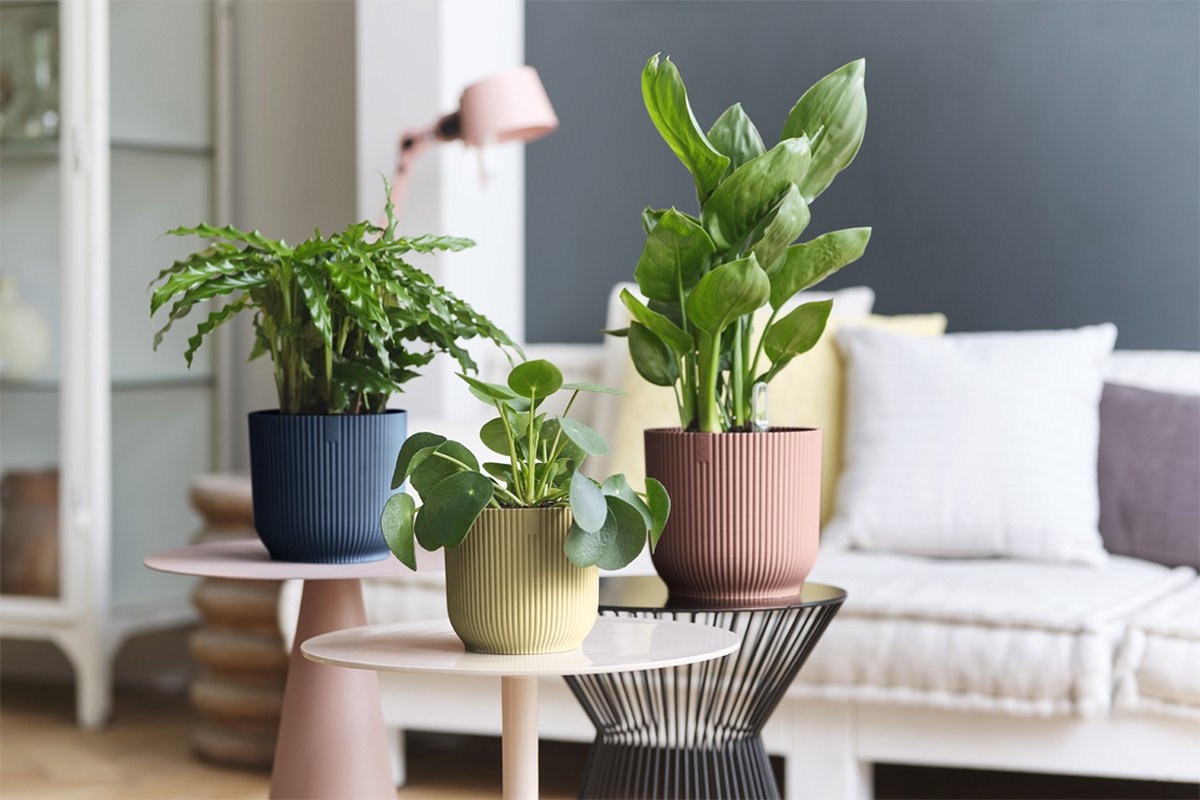  Elho Vibes Fold Rond 30 - Bloempot Voor Binnen - Ø 29.5 X H 27.2 Cm - Zijdewit