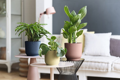  Elho Vibes Fold Rond 30 - Bloempot Voor Binnen - Ø 29.5 X H 27.2 Cm - Zijdewit