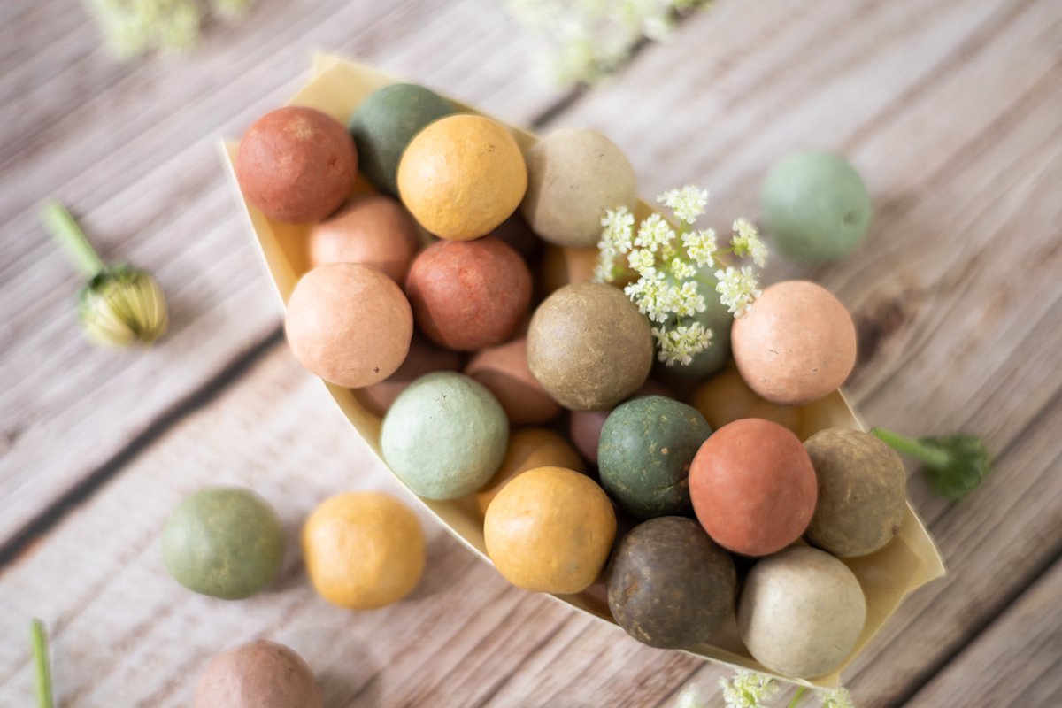  Blossombs Giftbox Small - 7 Blossombs - Bloembommetjes - Zaadbommetjes - Vlinders - Bijen - Biologisch - Ecologisch - Verjaardag - Communie - Doopsuiker - Valentijn