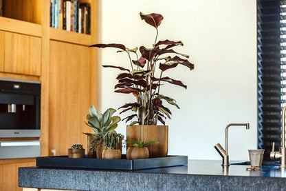  Capi Europe - Vaas Bol Groove XL - 39x33 - Goud - Bloempot Voor Binnen - Opening ⌀24 - GVGB270