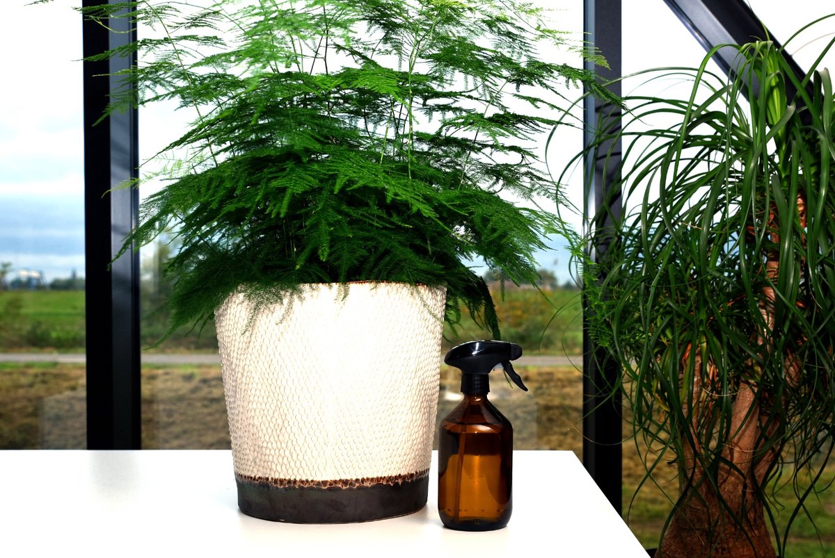  24DOTS Living Plantenspuit | 500 Ml Bruin Amber Glas | Plantensproeier | Plantenspuit Binnen | Waterverstuiver | Vernevelaar