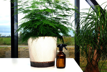  24DOTS Living Plantenspuit | 500 Ml Bruin Amber Glas | Plantensproeier | Plantenspuit Binnen | Waterverstuiver | Vernevelaar