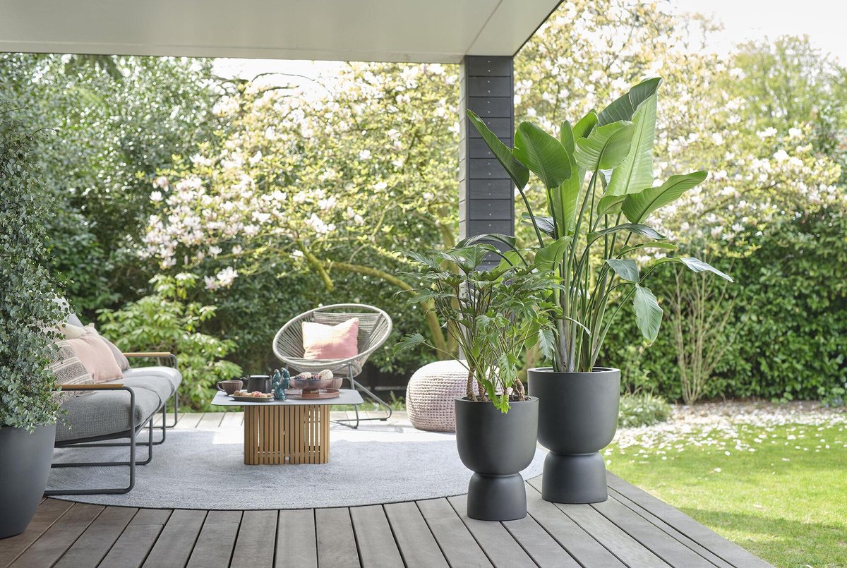  Elho Pure Coupe 35 - Bloempot Voor Binnen &amp; Buiten - Ø 34.9 X H 49.0 Cm - Zwart/Zwart
