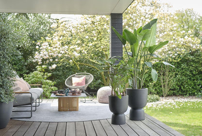  Elho Pure Coupe 35 - Bloempot Voor Binnen &amp; Buiten - Ø 34.9 X H 49.0 Cm - Zwart/Zwart