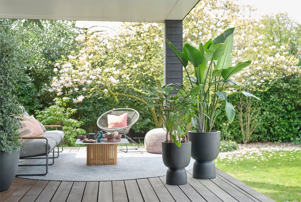  Elho Pure Coupe 35 - Bloempot Voor Binnen &amp; Buiten - Ø 34.9 X H 49.0 Cm - Zwart/Zwart