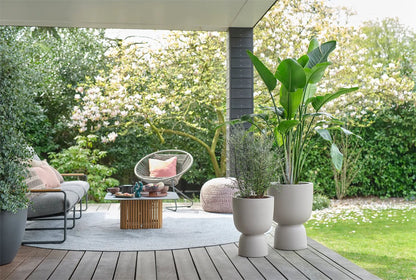  Elho Pure Coupe 35 - Bloempot Voor Binnen &amp; Buiten - Ø 34.9 X H 49.0 Cm - Beige/Balanced Beige