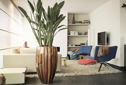  Exotische Paradijsvogelplant – Voor Binnen En Buiten – Set Van 2