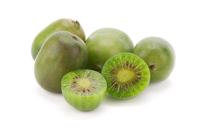 Merkloos Mini-kiwi - Kiwibes - Actinidia Arguta Issai - Zoete Kiwi - Hoogte 60cm - Winterhard - Kleinfruit - Fruitstruik - Plant - Eigen Fruit Kweken