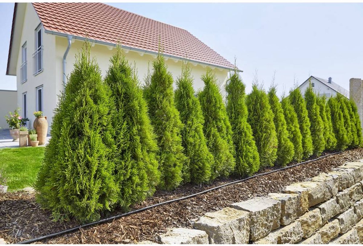  GARDENA Micro Drip System Startset L Druppelsysteem - 50 Meter