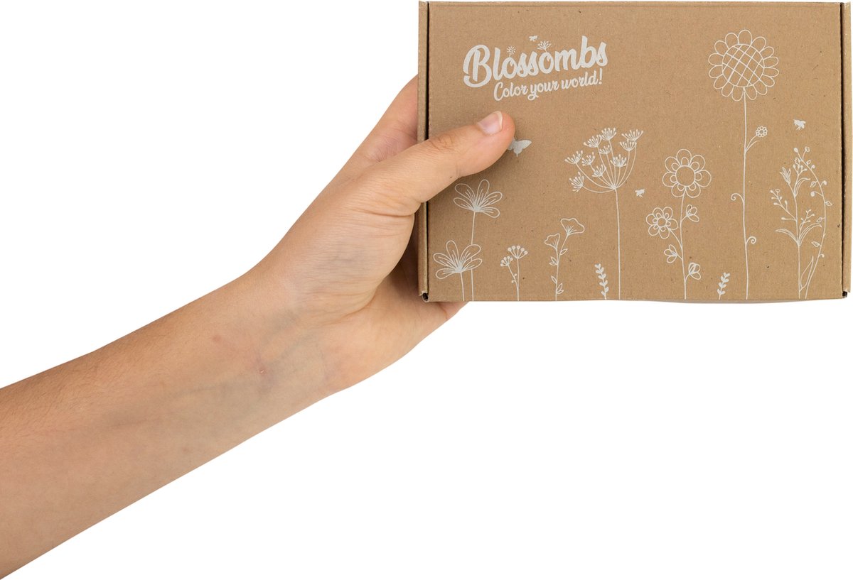  Blossombs Giftbox Small - 7 Blossombs - Bloembommetjes - Zaadbommetjes - Vlinders - Bijen - Biologisch - Ecologisch - Verjaardag - Communie - Doopsuiker - Valentijn