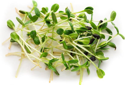  Biologische Broccoli Kiemzaden 250 Gram