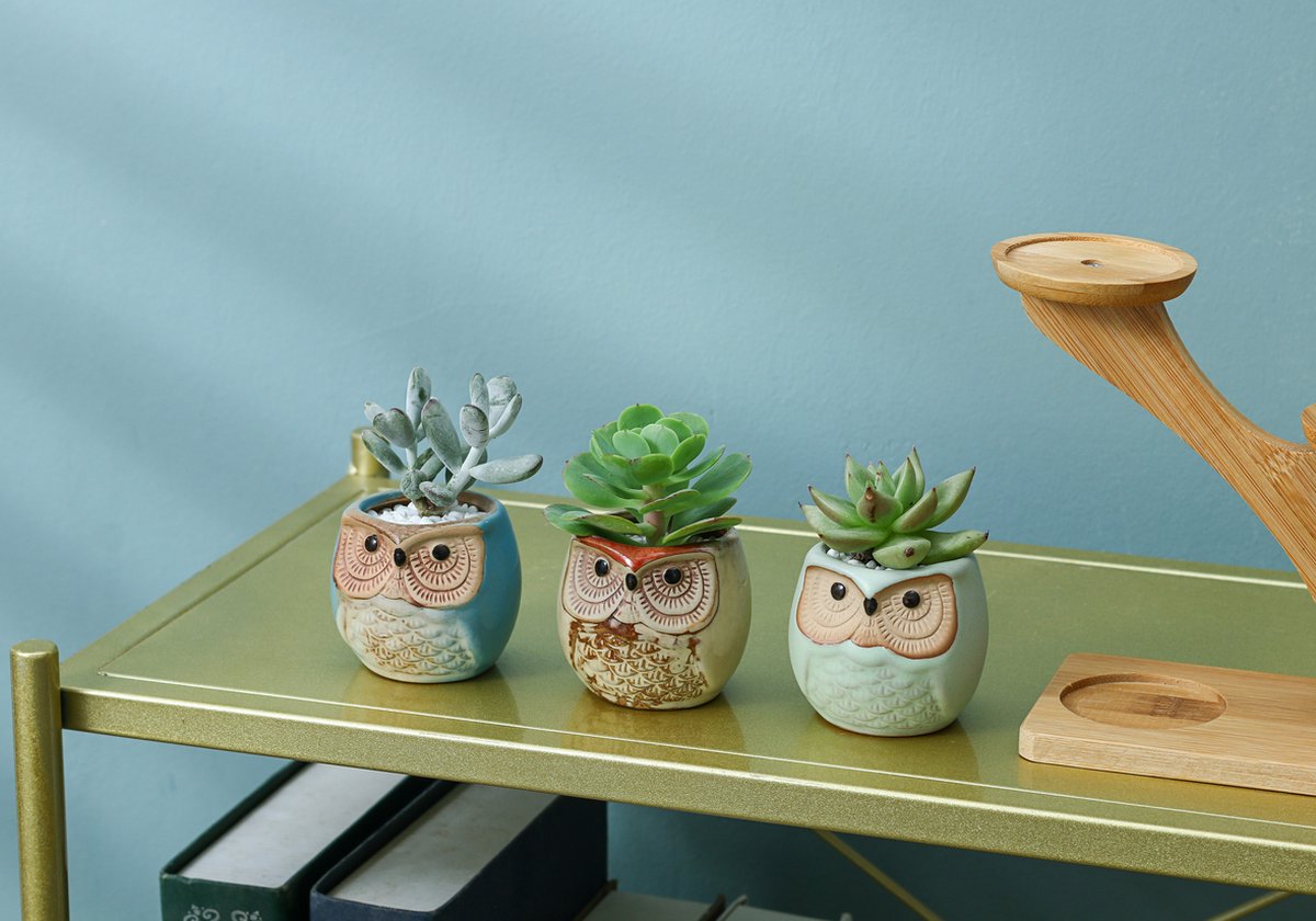  Luxe Bamboe Houten Boom Met 3 Keramiek Uil Bloempotten/Plantenpotten Op Standaard/Voet Voor Binnen En Buiten - Modern Design Bloempot/Plantenpot Op Poten/Pootjes-Plantenbak Mini Cactus Nep Plant Pot Houder - Kleine Bloembakken Plantenrek/Plantenkurk