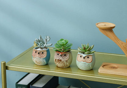  Luxe Bamboe Houten Boom Met 3 Keramiek Uil Bloempotten/Plantenpotten Op Standaard/Voet Voor Binnen En Buiten - Modern Design Bloempot/Plantenpot Op Poten/Pootjes-Plantenbak Mini Cactus Nep Plant Pot Houder - Kleine Bloembakken Plantenrek/Plantenkurk