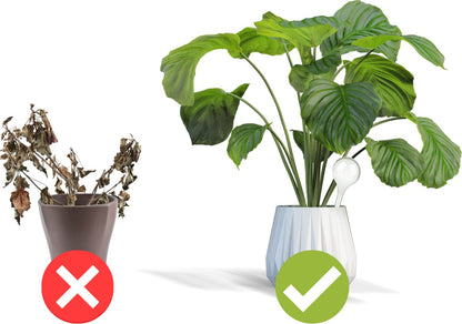  Druppelsysteem 12 Stuks Waterdruppelaar Voor Planten - Waterafgiftesysteem Voor 2 Weken - Beregening Voor Kamerplanten