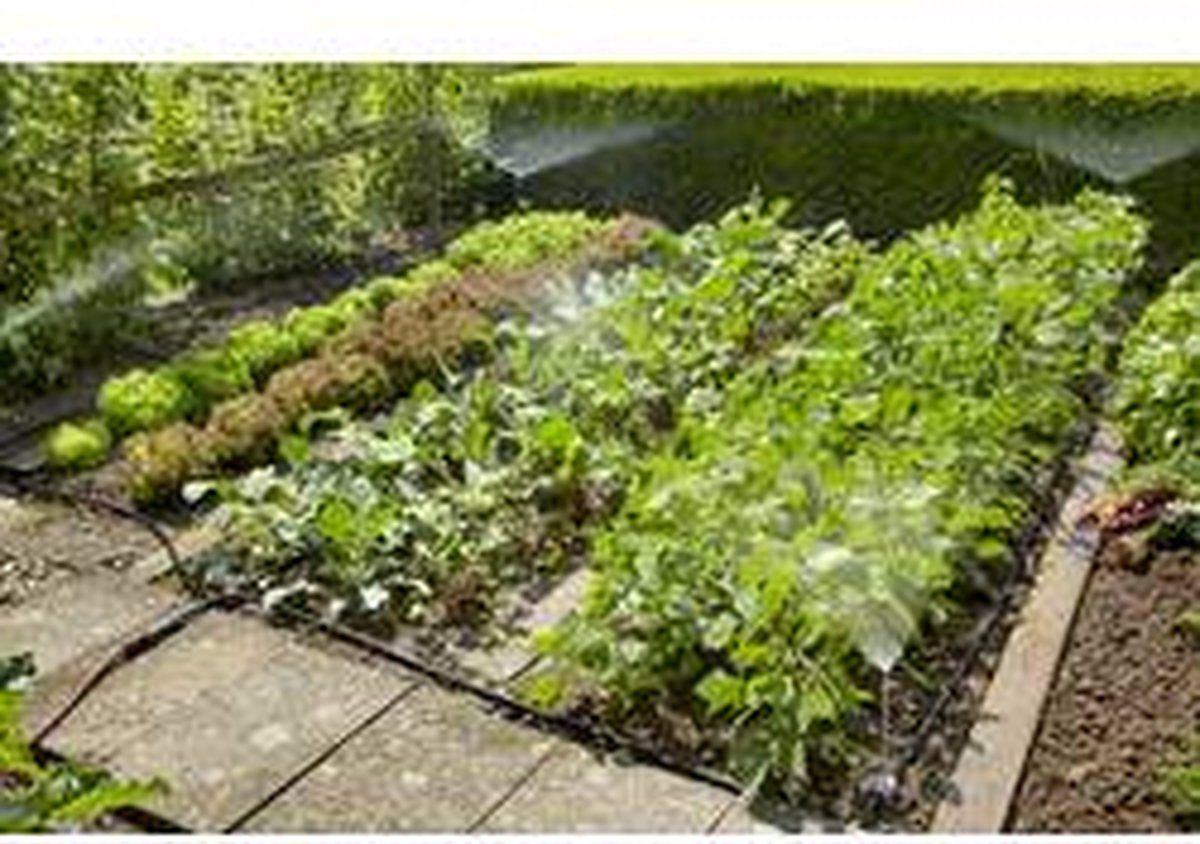  GARDENA Micro Drip System Bloembed En Moestuin Startset Druppelsysteem - 25 Meter