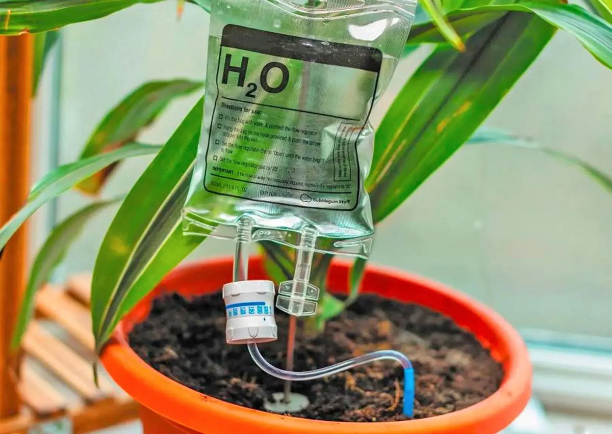  Plant Infuus H2o - Waterdruppelaar - Automatisch Bewateringssysteem Planten - Druppelirrigatie - Transparant - 350ml