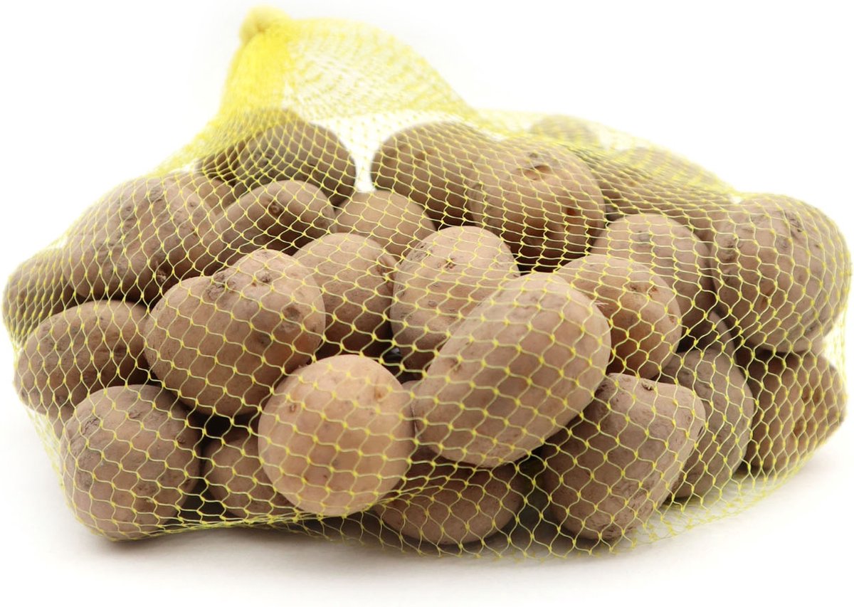  Pootaardappel 'Frieslander', Maat 28/35 - Vroeg Ras - 1kg (25-28st.)