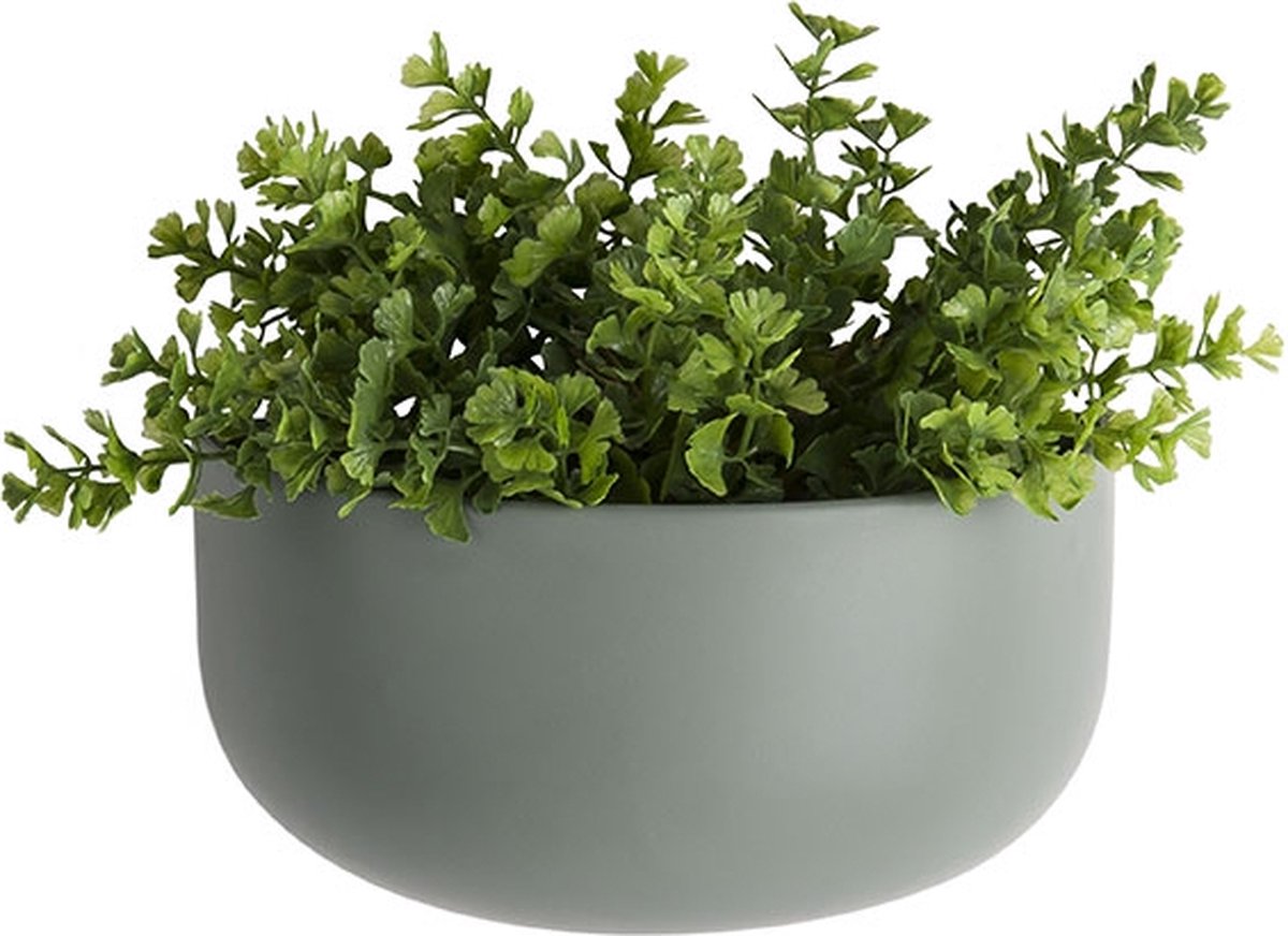 Pt Wand Bloempot Oval Wide - Green