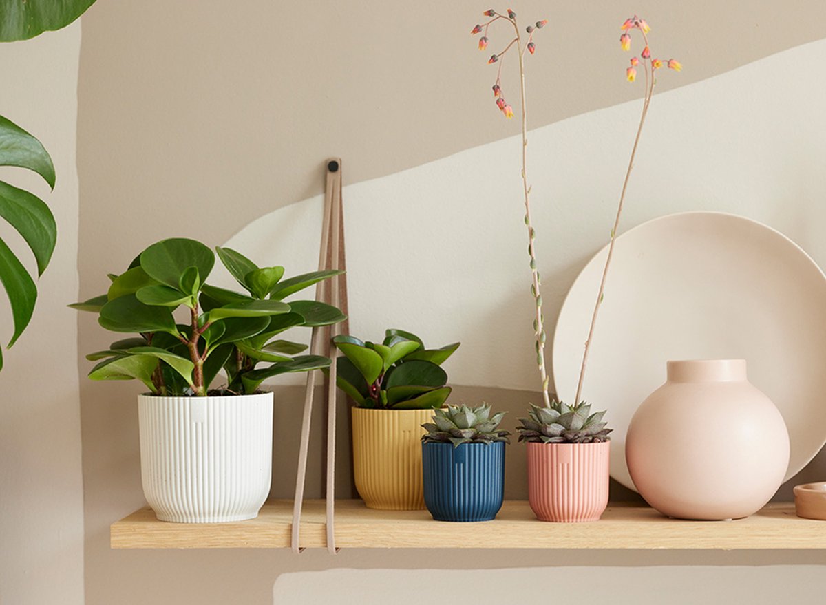  Elho Vibes Fold Rond 30 - Bloempot Voor Binnen - Ø 29.5 X H 27.2 Cm - Zijdewit