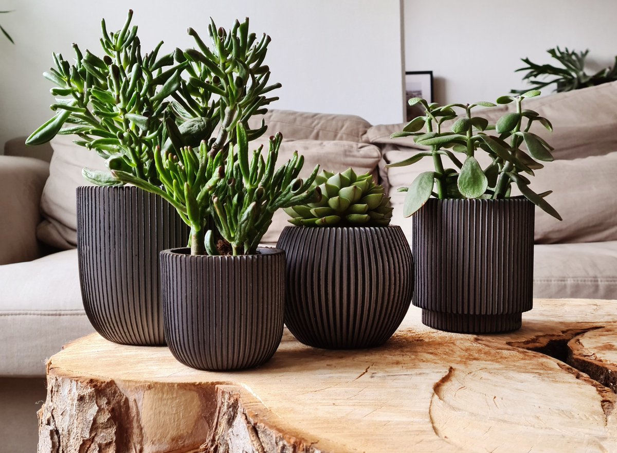  Capi Europe - Set Van 4 - Bloempot Binnen - Groove - Antraciet
