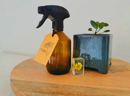  24DOTS Living Plantenspuit | 300 Ml Bruin Amber Glas | Plantensproeier | Plantenspuit Binnen | Waterverstuiver | Vernevelaar